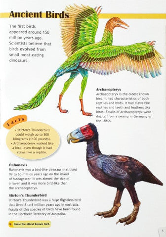 Top Ten Birds - Facts & More