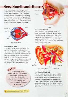 Top Ten Human Body - Facts & More