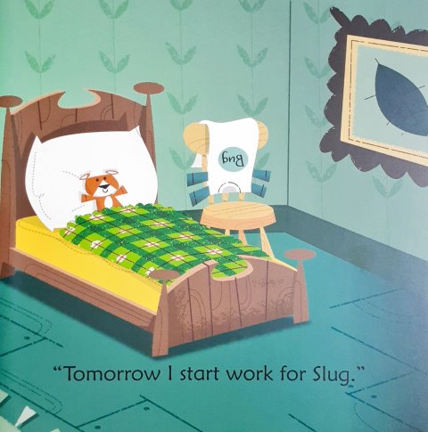 Bug in a Rug - Usborne Phonics Readers