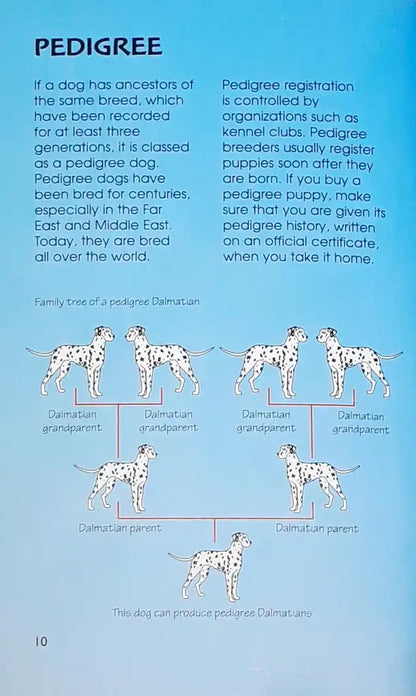 Usborne Spotter's Guides Dogs