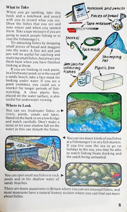 Usborne Spotter's Guides Fishes (P)