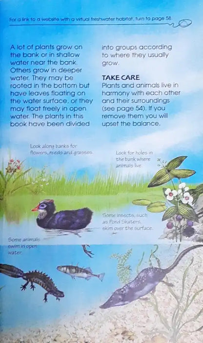 Usborne Spotter's Guides Ponds And Lakes