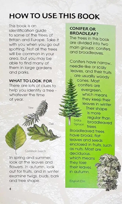 Usborne Spotter's Guides Trees