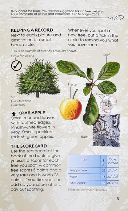 Usborne Spotter's Guides Trees