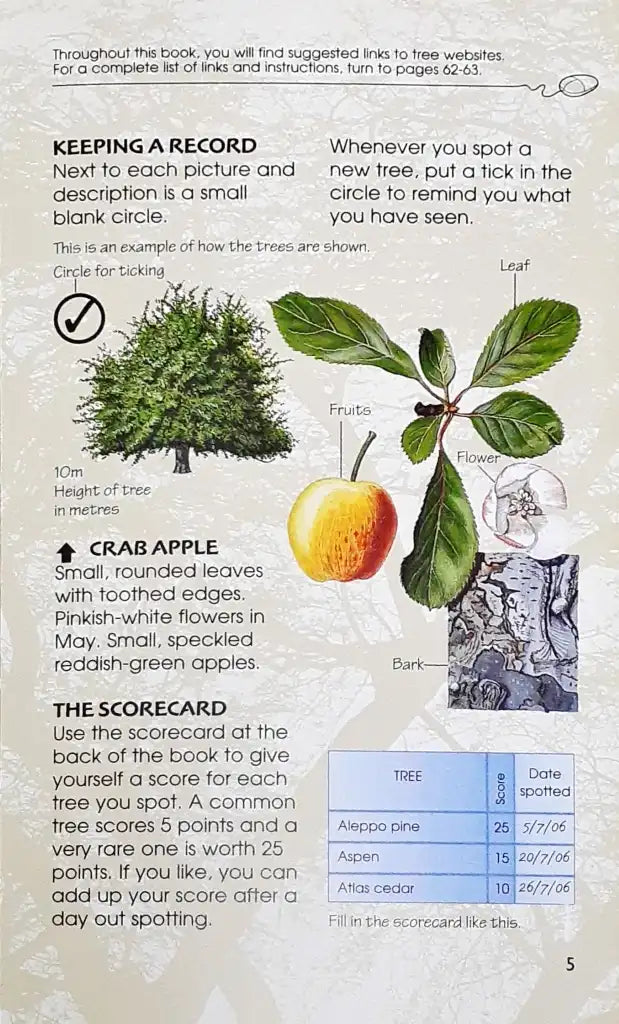 Usborne Spotter's Guides Trees (P)