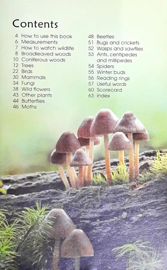 Usborne Spotter's Guides Woodland Life