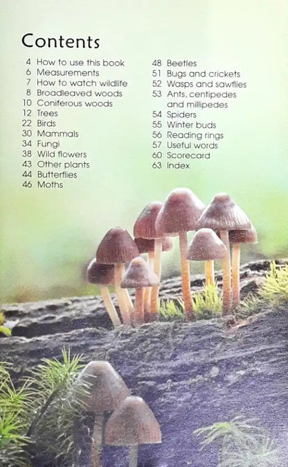 Usborne Spotter's Guides Woodland Life