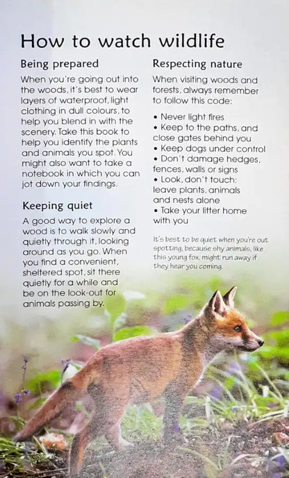 Usborne Spotter's Guides Woodland Life