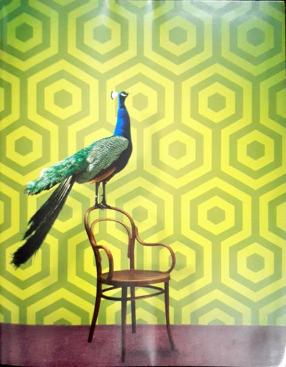 Wall Paper - Dreams Of Colour For The Home