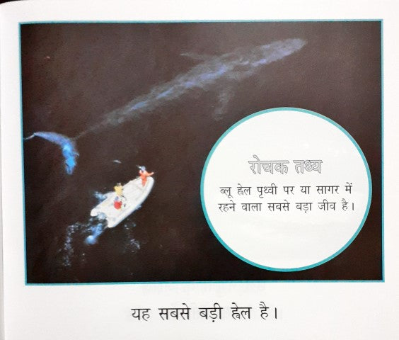 Whale (Hindi)