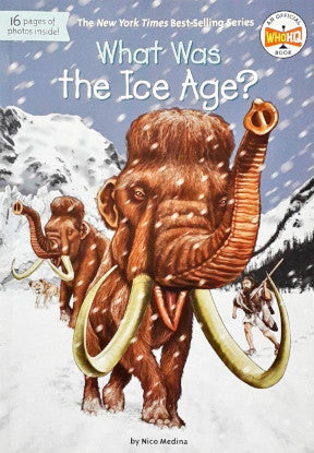 What Was The Ice Age?