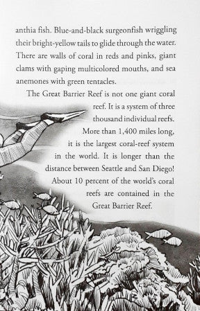 Where Is Great Barrier Reef?