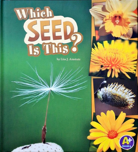 Nature Starts Which Seed Is This?