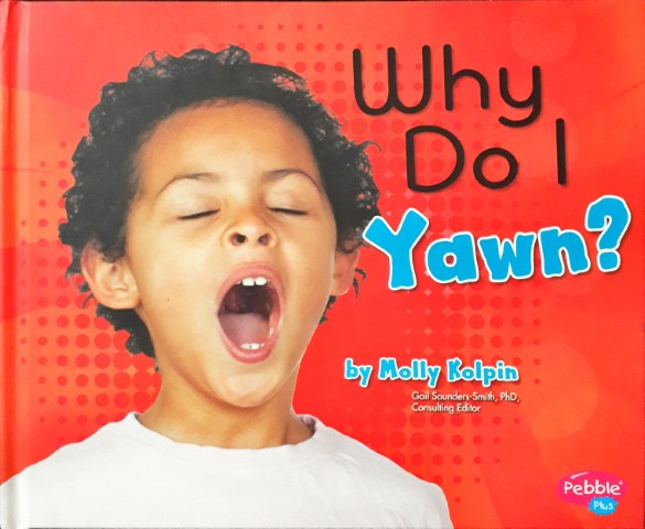 My Silly Body Why Do I Yawn?