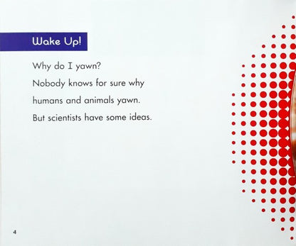 My Silly Body Why Do I Yawn?