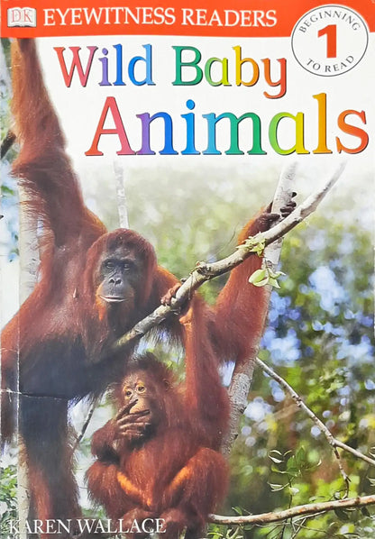 Wild Baby Animals : DK Readers Level 1 (P)