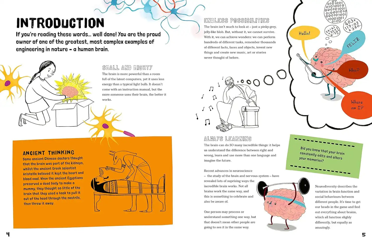 You & Your Amazing Brain