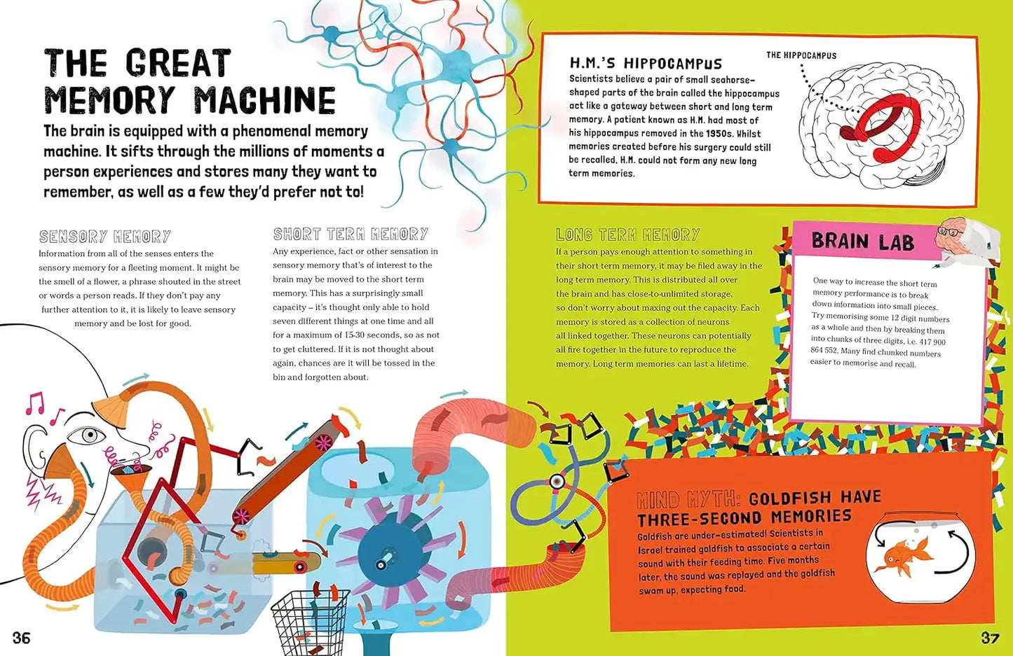You & Your Amazing Brain