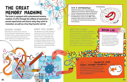 You & Your Amazing Brain