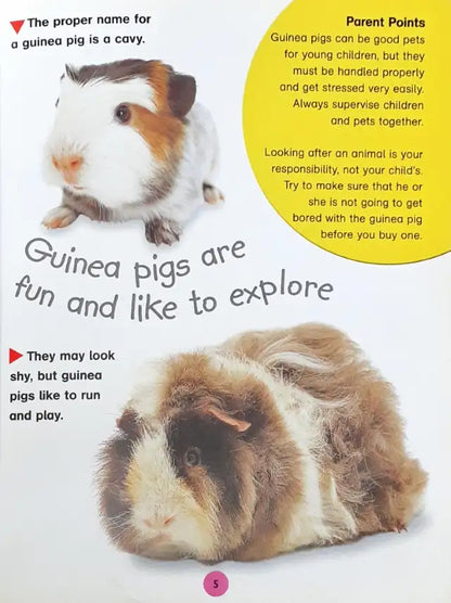 You And Your Pet Guinea Pig (P)