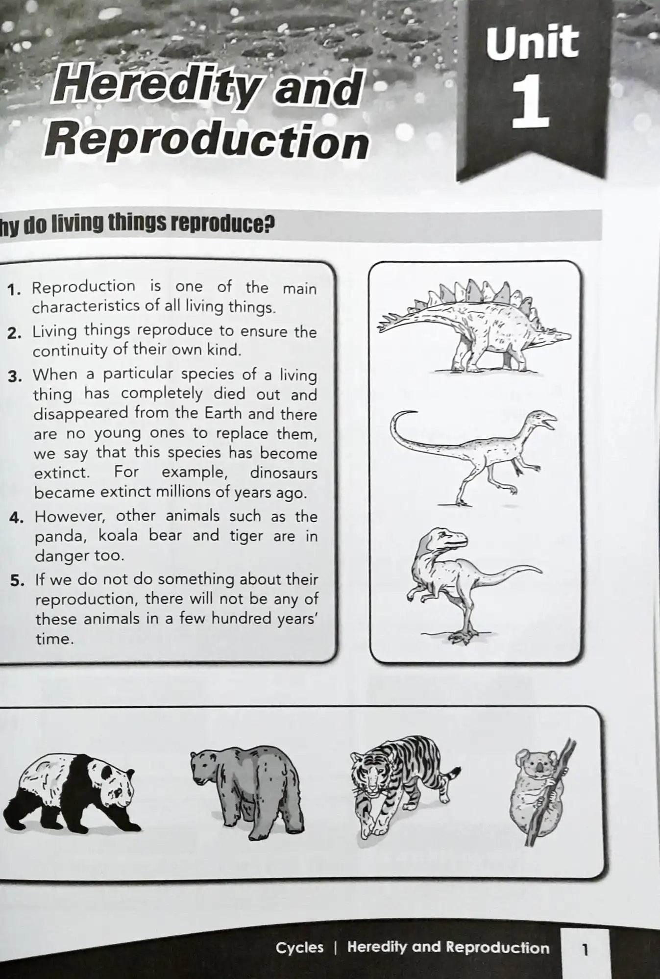 FBP Your Companion to Science: A Complete Guide to PSLE