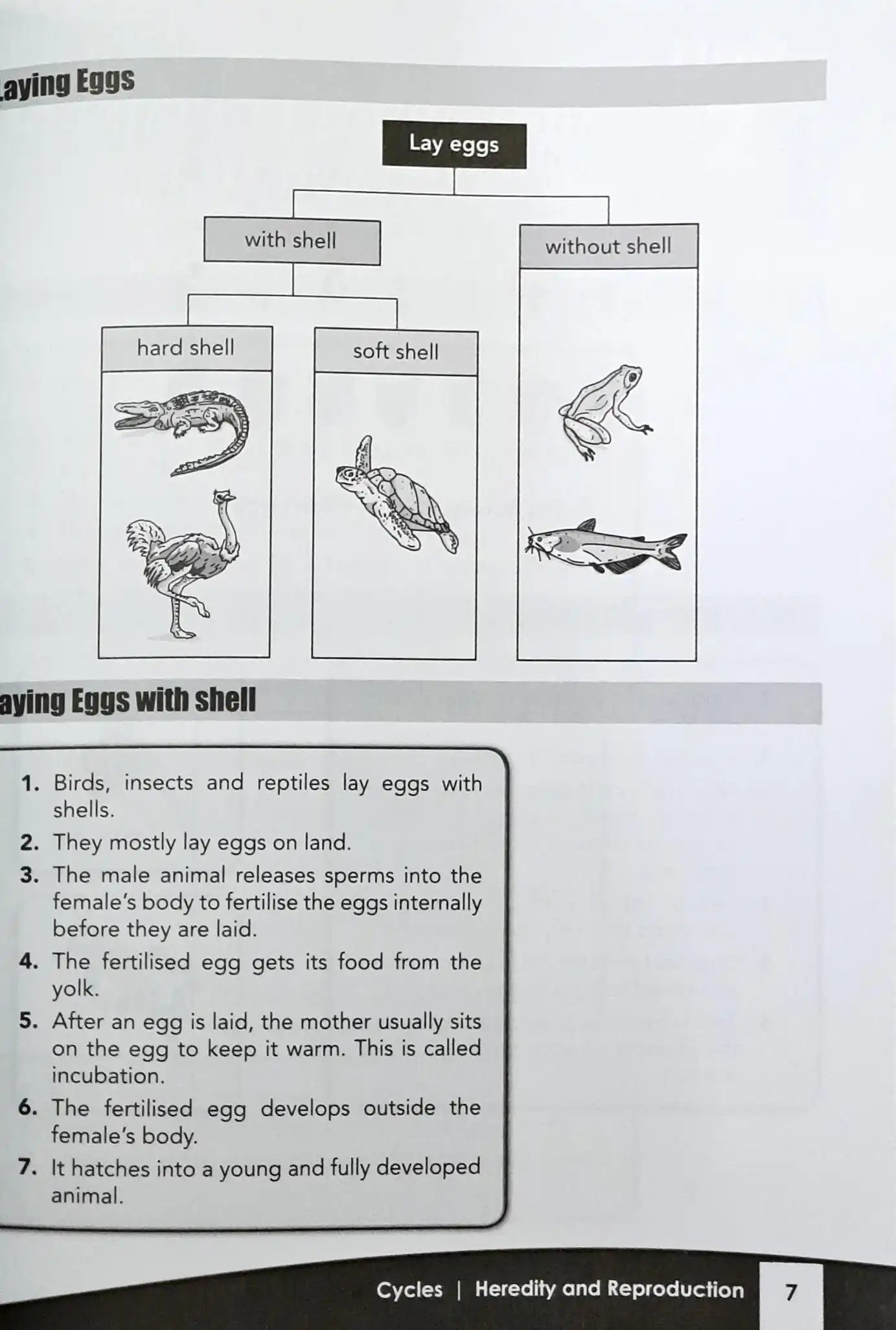 FBP Your Companion to Science: A Complete Guide to PSLE