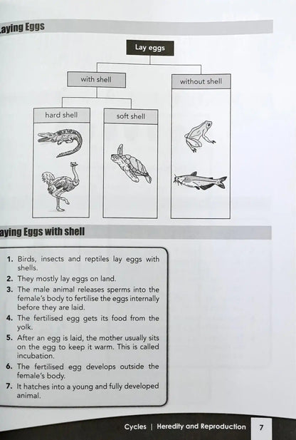 FBP Your Companion to Science: A Complete Guide to PSLE