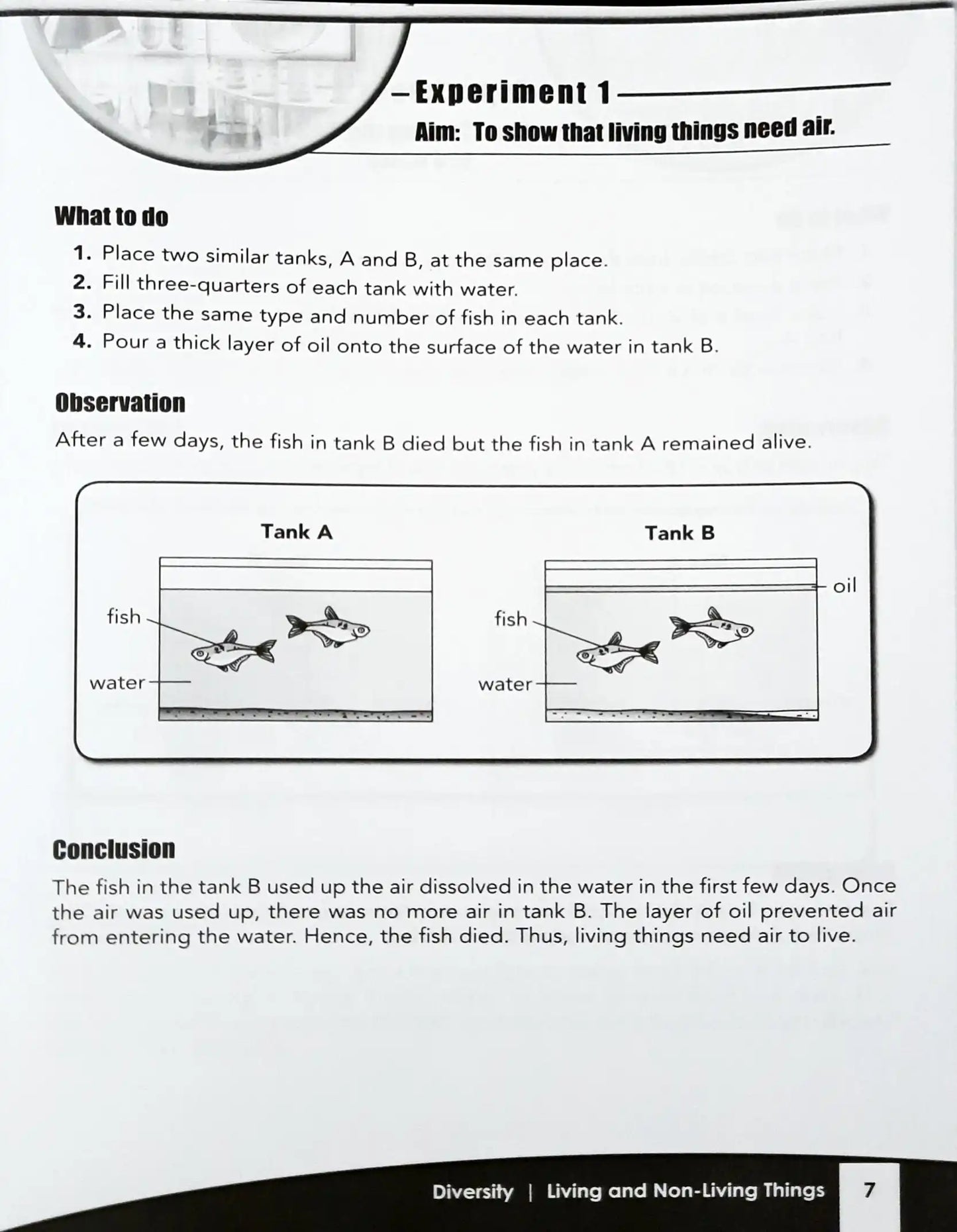FBP Your Companion to Science: A Complete Guide to PSLE