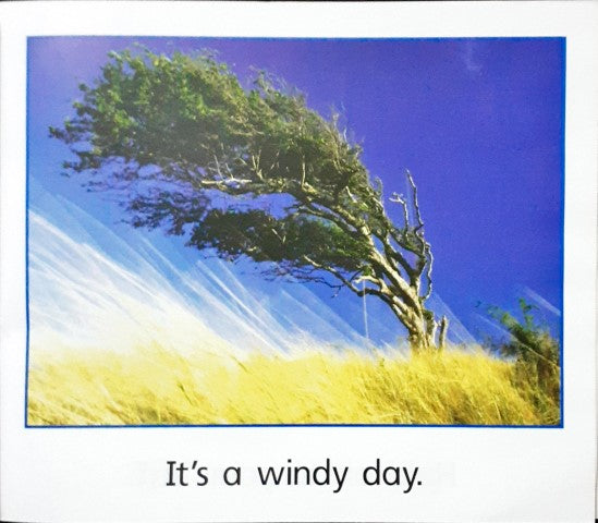 Windy Rouse A Windy Day – Books and You