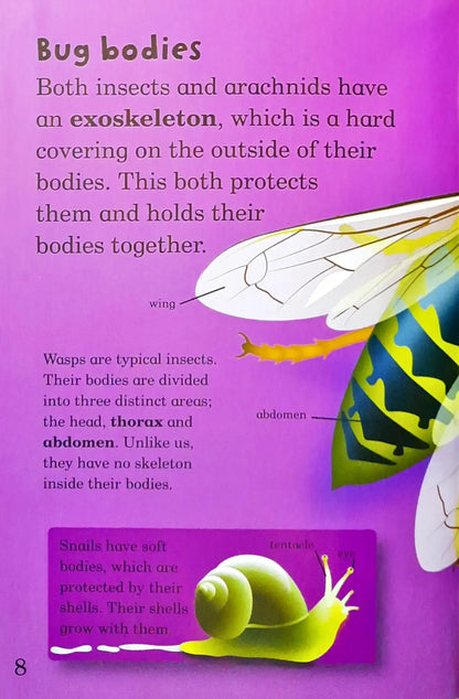 Ladybird Mini : Mad About…Bugs