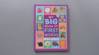 My Big Book of First Words with USB Port: Over 350 Sounds