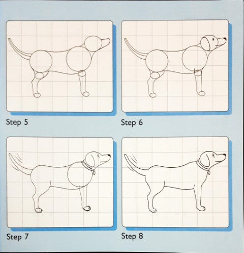 Dog Quick Draw Quick Draw - Cats and Dogs – Books and You