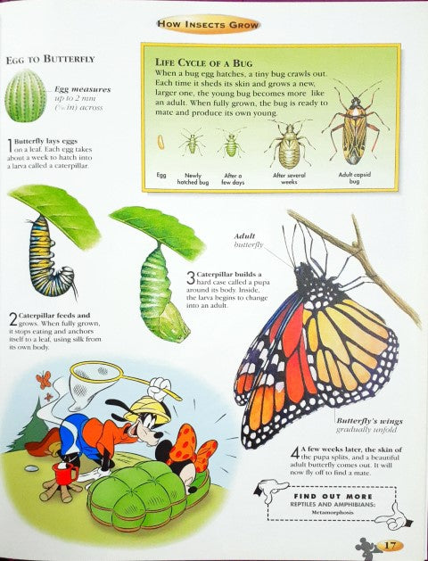 Disney The Wonderful World Of Knowledge Insects And Spiders (P)