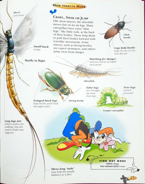 Disney The Wonderful World Of Knowledge Insects And Spiders (P)