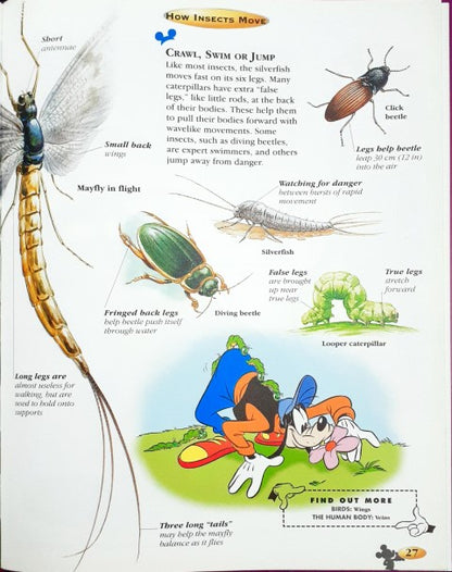 Disney The Wonderful World Of Knowledge Insects And Spiders (P)